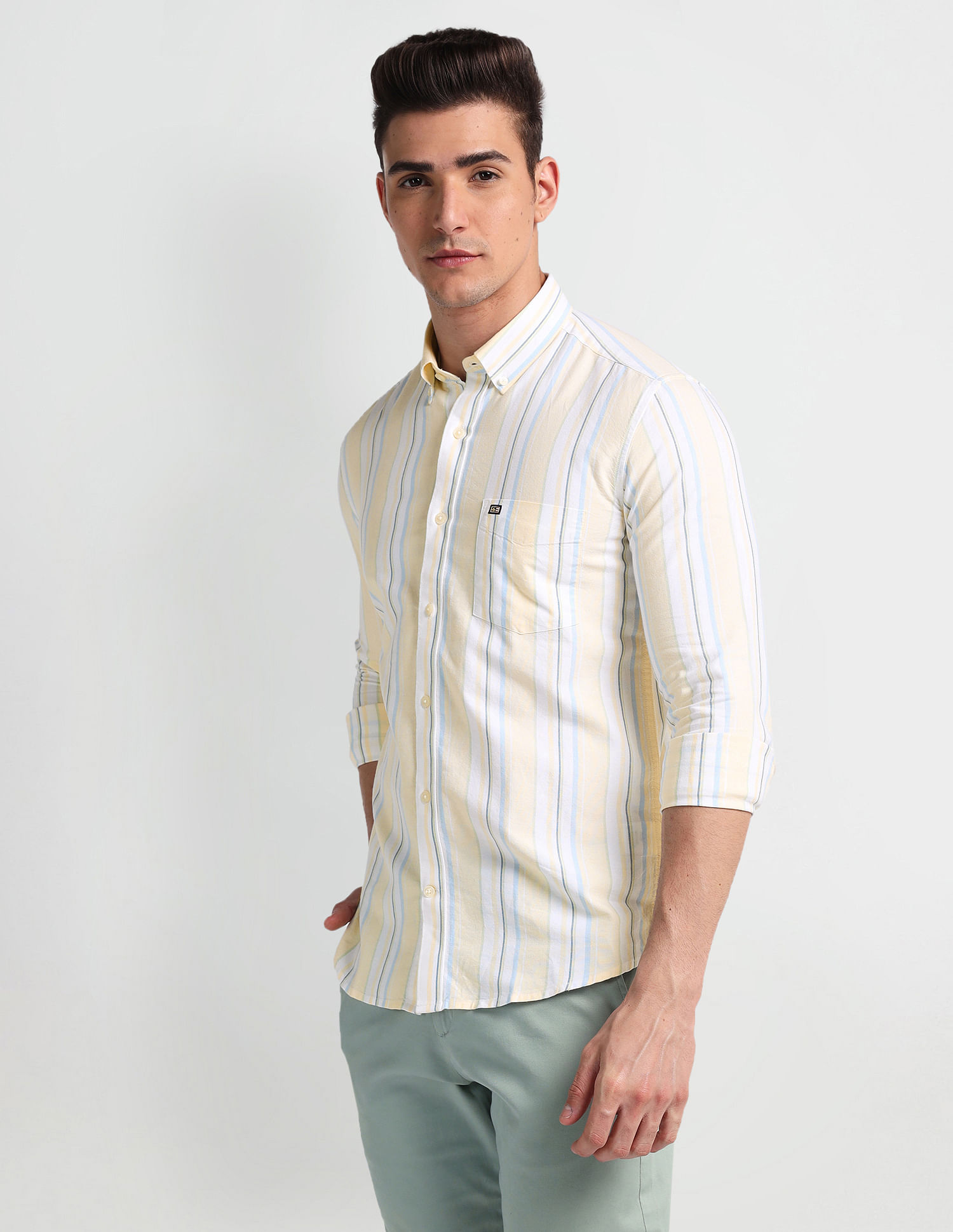 Arrow Sports vertical Stripe Oxford Shirt