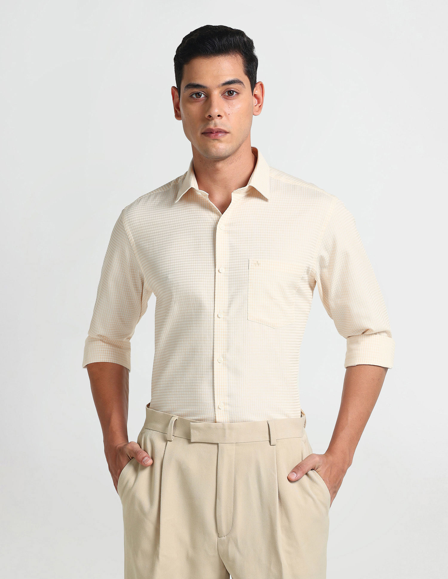 Arrow Micro Check Cotton Shirt