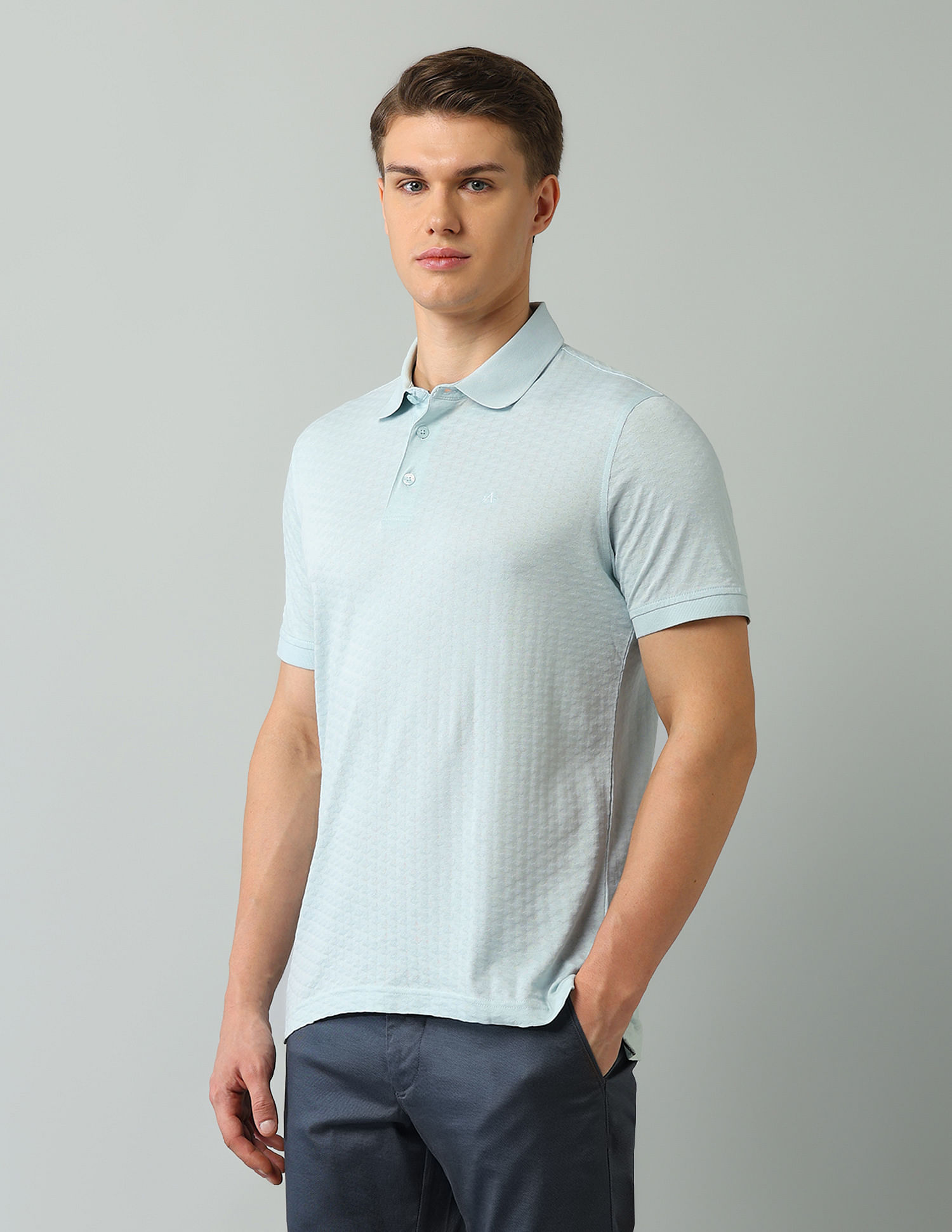 Arrow Regular Fit Textured Polo Shirt