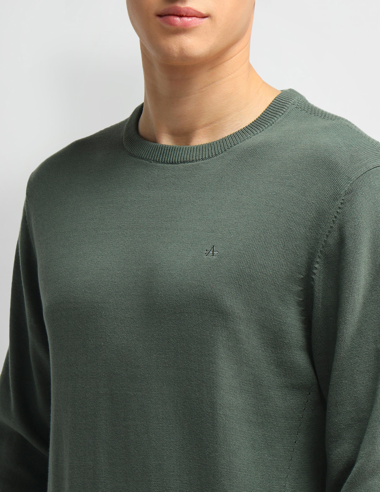 Buy Arrow Crew Neck Solid Sweater - NNNOW.com