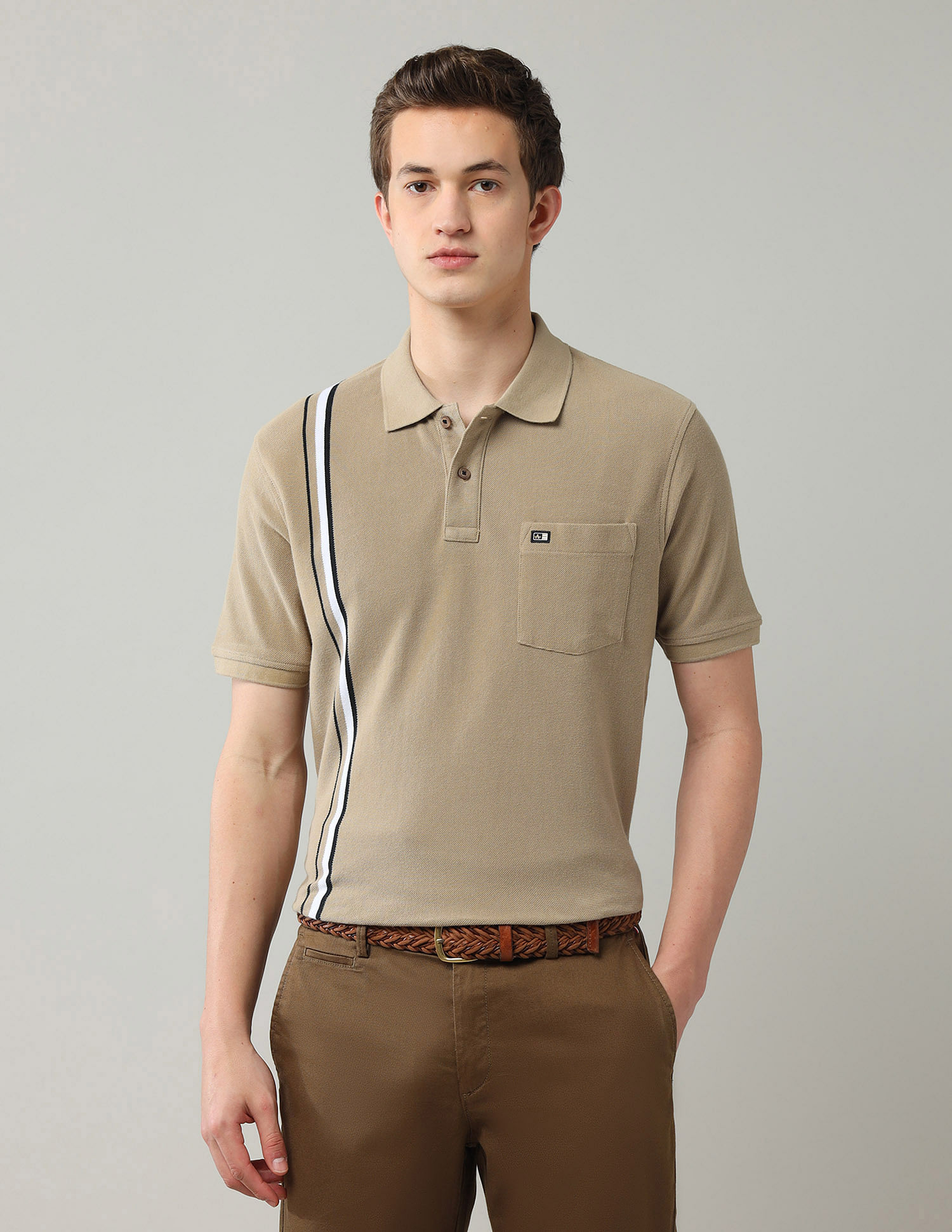 Arrow Sport Vertical Striped Regular Fit Polo Shirt