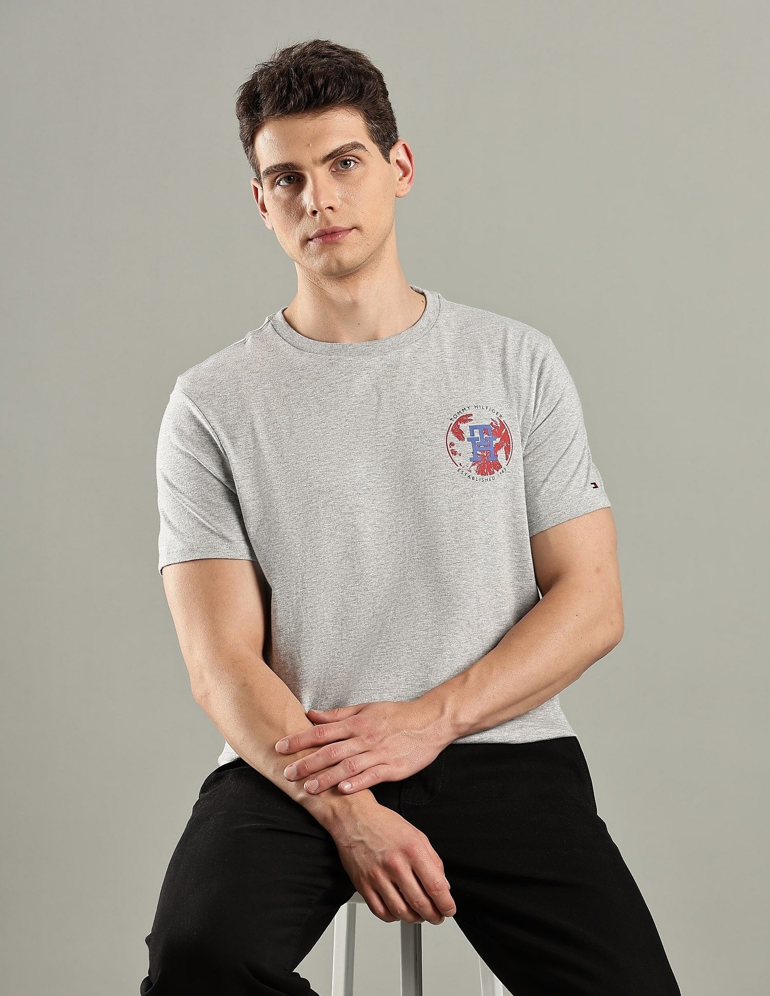 Tommy Hilfiger Logo Regular-Fit Cotton T-Shirt