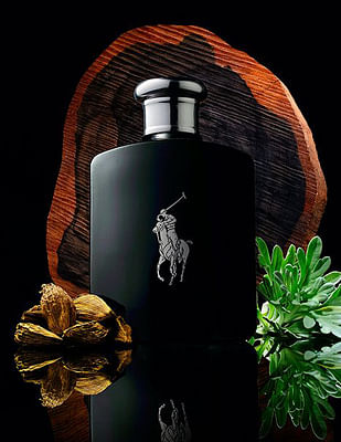 ralph lauren polo black eau de toilette