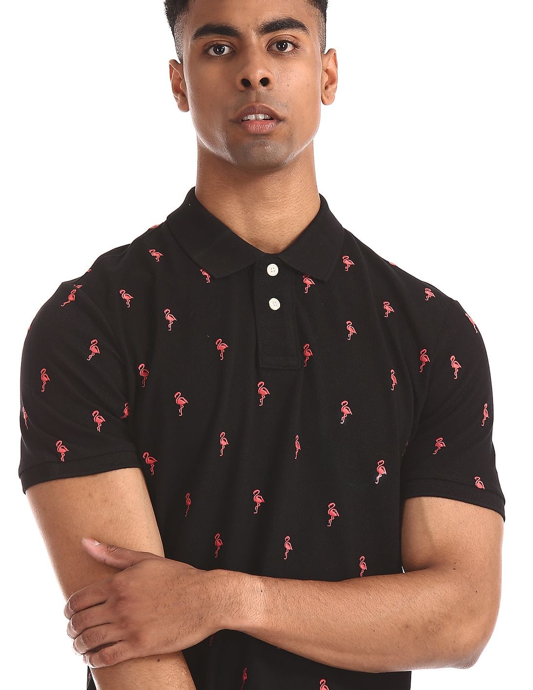 Buy Aeropostale Black Flamingo Embroidered Pique Polo Shirt