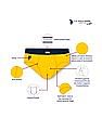 USPA Innerwear Boys Solid Cotton Spandex IKBA Briefs - Pack Of 3