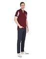 AD by Arvind Cotton Colour Block Polo Shirt