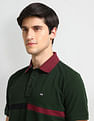 Arrow Sports Contrast Collar Striped Polo Shirt