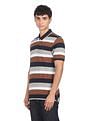 AD by Arvind Cotton Horizontal Stripe Polo Shirt