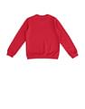 U.S. Polo Assn. Kids Brand Printed Regular Fit Sweatshirt