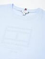 Tommy Hilfiger Printed Regular Fit T-Shirt