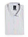 Arrow Vertical Striped Manhattan Slim Fit Velocity Shirt