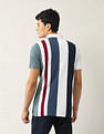 Arrow Sport Vertical Striped Regular Fit Polo Shirt