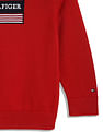 Tommy Hilfiger Kids Boys Brand Regular Fit Sweatshirt