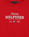 Tommy Hilfiger Kids Boys Monotype 1985 Regular Long Sleeves T-Shirt