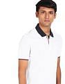 AD by Arvind Cotton Solid Polo Shirt