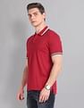 AD by Arvind Cotton Slim Real Deal Polo Shirt