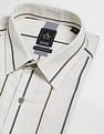 Arrow Newyork Point Collar Vertical Stripe Shirt