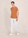 U.S. Polo Assn. Ribbed Collar Horizontal Stripe Polo Shirt